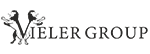 Vieler Group Logo