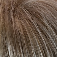 20/25-14 aschblond/goldblond-mittelblond