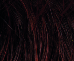 Darkauburn mix Darkauburn mix