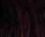 Temporary Name: darkauburn-mix Temporary Name: darkauburn-mix