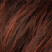 Ellen Wille Ring Perücke: auburn-mix