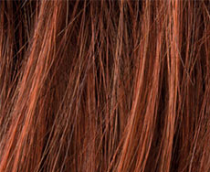 Cinnamon mix