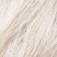Ellen Wille Mia Mono Perücke: platinblonde-mix
