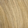 Ellen Wille Flavour Perücke: champagne-rooted