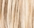 Temporary Name: champagne-rooted Temporary Name: champagne-rooted