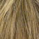 Fancy Hair Vista Perücke: 24-18t Fancy Hair Vista Perücke: 24-18t
