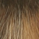 Fancy Hair Madison Perücke: almond-spice