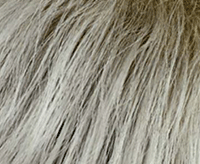1001/1B+14 platinum blond back rooted
