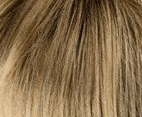 14/26+12 mittelblond/goldblond+dunkel-aschblond