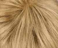 22/15H lichtblond 22/15H lichtblond