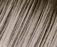 61-38+12 lightbrown grey rooted