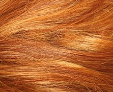 Light Orange Red Light Orange Red
