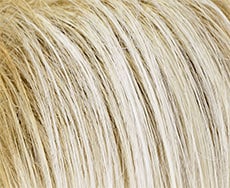 Gisela Mayer New Cool Perücke: 1001-22-2014-ash-blond-rooted