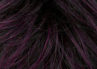Ellen Wille Click Perücke: black-violet