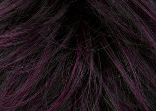 Black violet