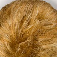 R29S rotblond-changiert R29S rotblond-changiert
