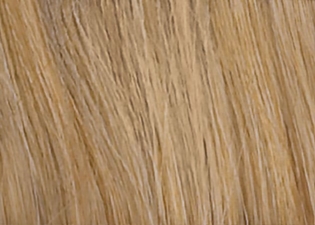 Sandyblonde mix Sandyblonde mix