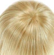 14/263+8 mittelblond/hellblond+dunkelblond