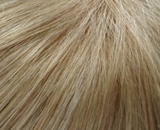 Swedish-Blond 22/22