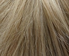 Gold-Blond-Root 22/20+Root8