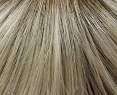 Champagne-Mix-Root 22/20+Root8