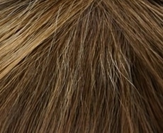 Chocolate/Cream-Root 10/27/20+Root10