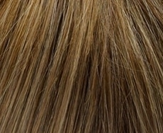 Cognac-Root 20/25/14+Root12