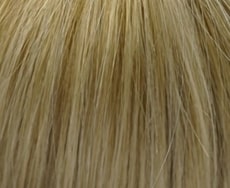 Swedish Blond Root 25R/22H+Root16