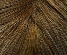 Vanilla Root 14/26+Root14