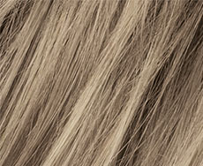 Beigeblonde
