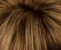 12/26+8 dunkel-aschblond/goldblond+dunkelblond