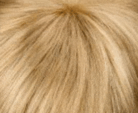 16/22/25 aschblond/lichtblond/goldblond 16/22/25 aschblond/lichtblond/goldblond