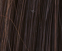 Espresso rooted