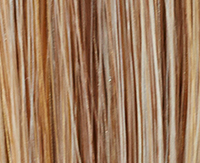 Ginger rooted