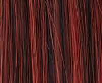 Hotchilli mix