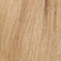 Gisela Mayer Energy HH Medium Perücke: champagne-rooted