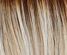 Lighthoney rooted Lighthoney rooted