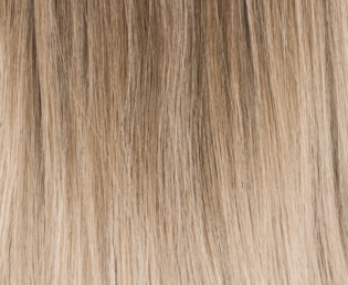Sandyblonde tipped Sandyblonde tipped