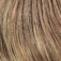 Temporary Name: bernstein-rooted