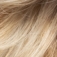 Temporary Name: champagne-rooted