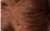 Temporary Name: red-chestnut-rooted