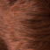 Fancy Hair Daisy Perücke: l4-33r