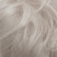 Fancy Hair Daisy Perücke: silver