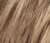Temporary Name: darksand-rooted
