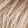 Ellen Wille En Vogue Perücke: sandyblonde-rooted