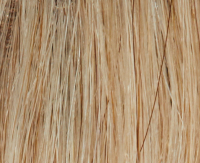 Platinum blond (88R-200)