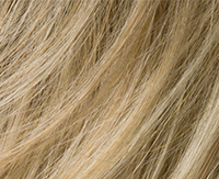 Sandyblonde toned