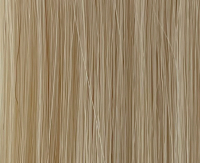 Platinum Blond Platinum Blond