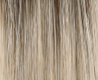 Aspen melange rooted