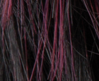 Blackcherry mix